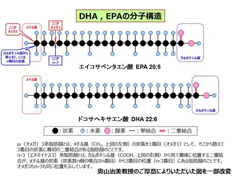 epa結構|(EPA)の 生理機能